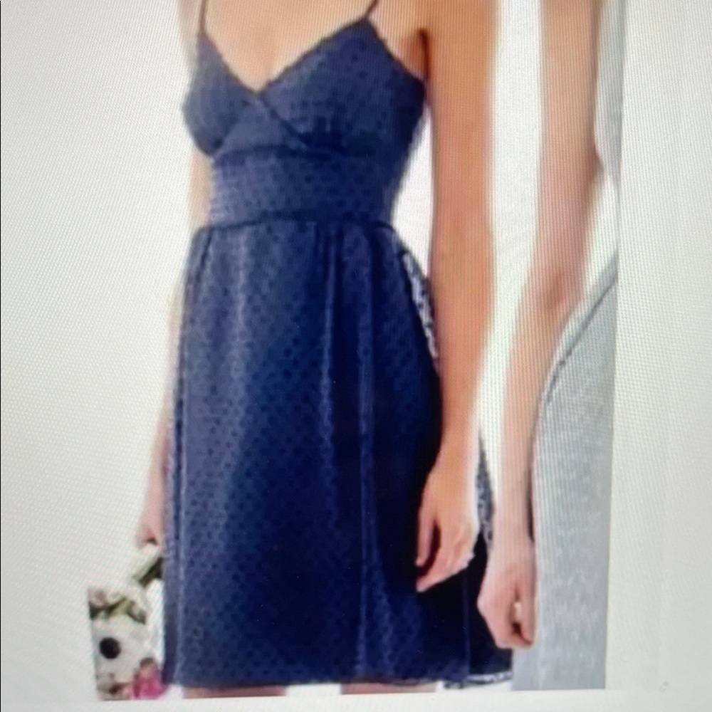 NWT J. Crew Cameron Swiss Dot Dress In Navy With Pockets